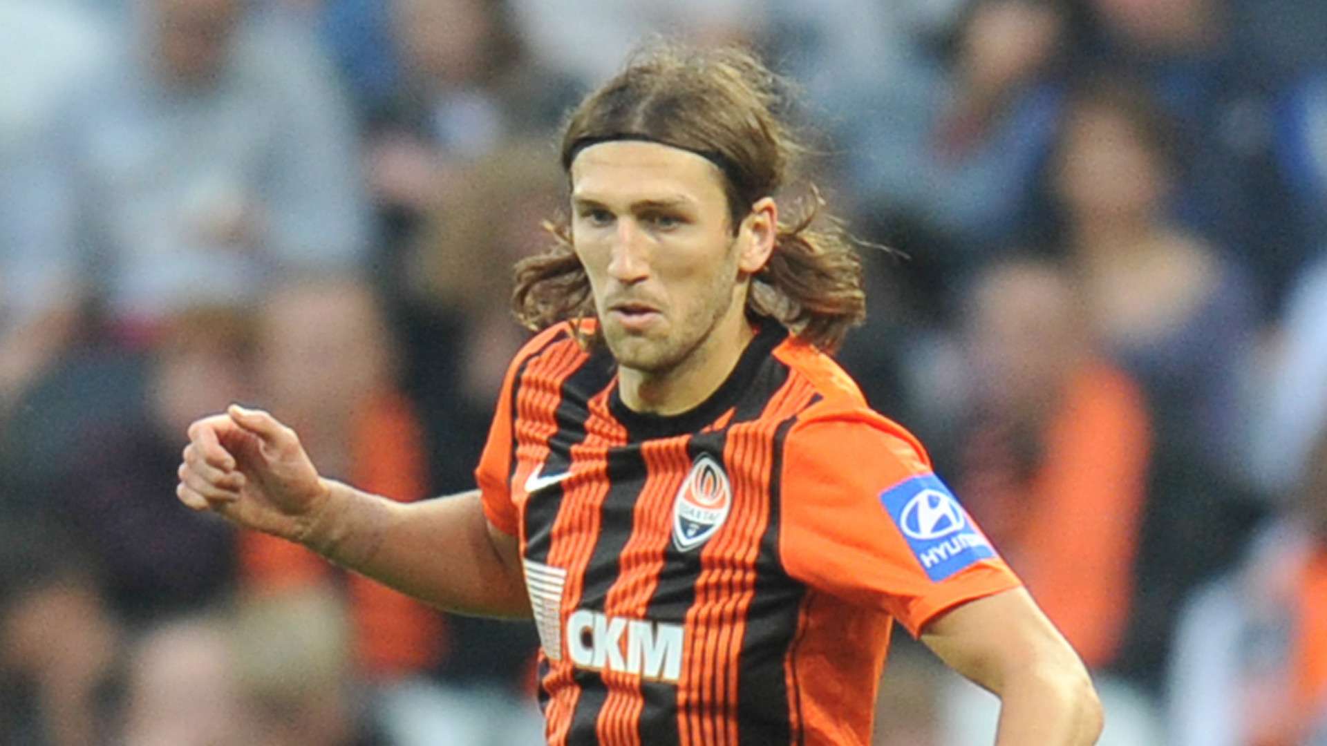 我们不仅能 我们不仅能